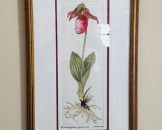 PINK LADY SLIPPER SHARON MORRIS KINCHELOE