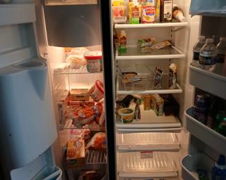 Samsung fridge will be cleaned out. 