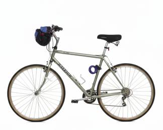 Raleigh C40 Men's Bike