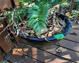 #45  Pot w/Stand & Fern  20x18   $40