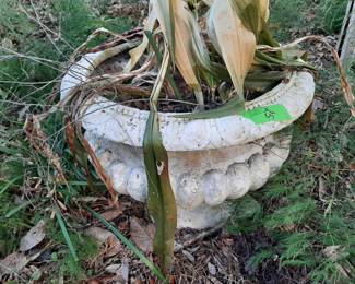 #25   Round Pedestal Planter  24x21   $40