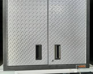 #3/#4/#5/#6  Gladiator Wall Cabinet 30"Wx12"Dx30"H   $175 each