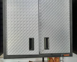 #3/#4/#5/#6  Gladiator Wall Cabinet 30"Wx12"Dx30"H   $175 each