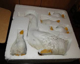 Ducks for the outdoors