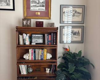Another lawyers bookcase