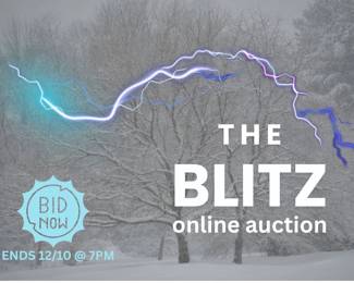 YLEG WITH MISSING BRASS FLUTING