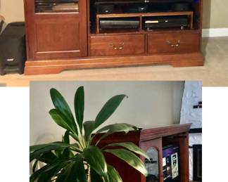 *PRE-SALE Entertainment Center (no Tv nor Components) has 2 doors currently unattached is 68.5 inches Wide x 25 inches Deep x 59 inches Tall $60

*PRE-SALE 30 year old TI Plant (Cordyline Fruiticosa) aka Palm Lily or Cabbage Palm Approx 70 inches Tall $100