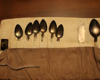 Coin Silver Spoon Set