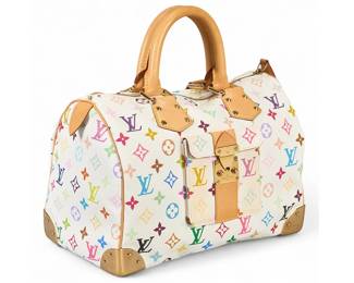 Louis Vuitton Multicolor Speedy 30 Handbag
