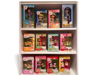 248 VintageStrawberryShortcakeDolls12BoxedFigureswPets