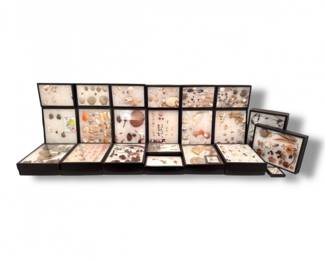 125 AssortedDisplayCasesforNaturalSpecimens29Total