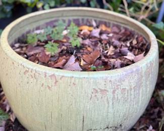 Moss Green Round Pottery Planter