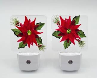 22 JudysHandPaintedPoinsettiaNightLightsArlingtonArtist