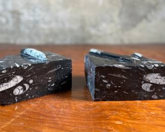 This lot features a pair of polished black marble Orthoceras fossil bookends. Each one measures, 4.5” H x 6” W x 3” D.
