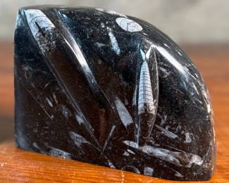 This lot features a pair of polished black marble Orthoceras fossil bookends. Each one measures, 4.5” H x 6” W x 3” D.
