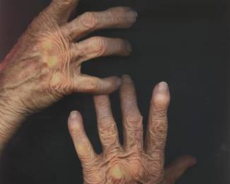 1090
Barbara T. Smith
(b. 1948)
"Signifier 2," 2016
Archival inkjet print on thick wove paper
A bon à tirer impression, aside from the edition of 35
Signed, dated, and inscribed in pencil in the lower margin: Barbara T. Smith '16 / B.A.T; Cirrus Editions, Los Angeles, CA, pub., with their blindstamp in the lower left margin corner; with the Cirrus Editions copyright ink stamp and pencil work number, 704c-BS16, both verso
Image: 35.125" H x 25.5" W; Sheet: 41.625" H x 30.5" W
Estimate: $1,500 - $2,500