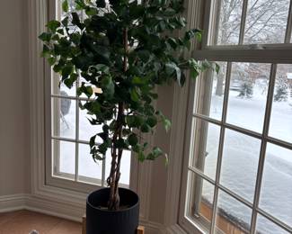 Lots of Charming artificial plants