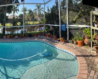 Succulents around the pool