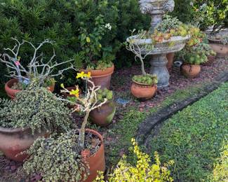 Check out that fountain full of succulents