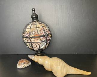 Seashell decor 