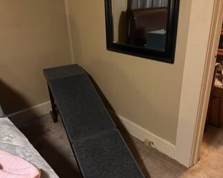 Dog ramp