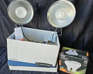 SG133Light bulb mystery lot