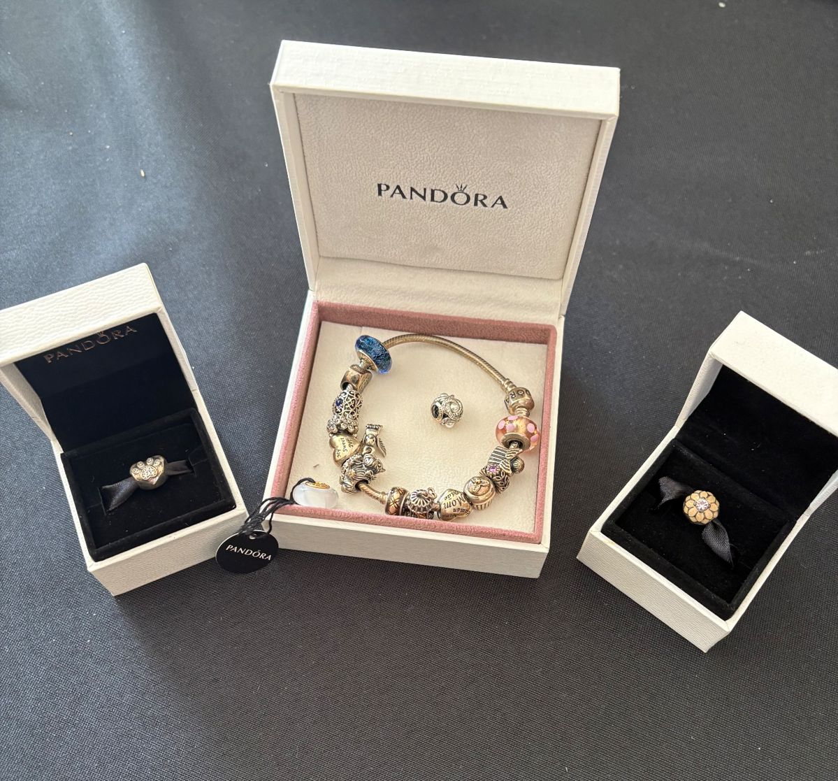 Pandora Charms