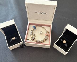 Pandora Charms