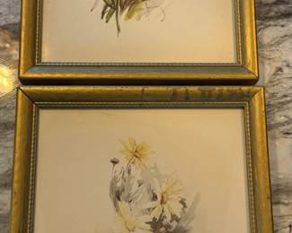 137 VintageFloralArtMargueriteAlpineStarandForgetMeNotPair