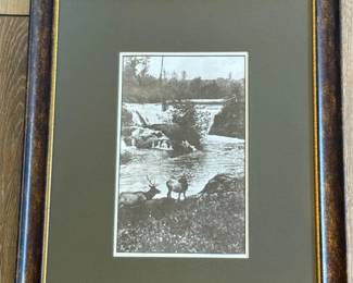 101 HazardStevensElkHistoricalTumwaterFalls