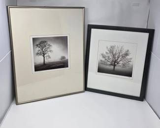 129 2FramedMattedPhotographsByRichardCalvo