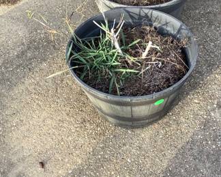 Some of the flower pots just waiting to be planted in Spring.