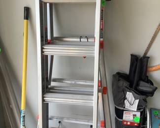 A slim Jim extension ladder.