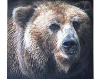 Canvas Bear Wall Art 