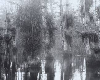 Clyde Butcher American, b. 1941 