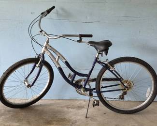 Comfortable Schwinn Jaguar Lets Get Cruising