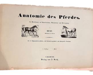 Antique German Anatomy of the Horse Book