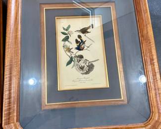 Audubon Framed in Koa wood with Linen Mat. Frame 17 7/8" x 21 3/8" Image is 11 3/8" x 6"