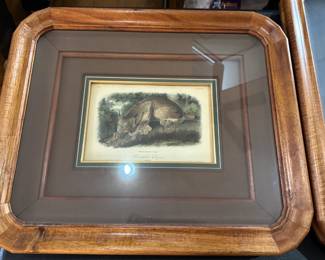 Audubon Canada Lynx 1849. Framed Koa Wood Linen Mat 20'"x17" frame image is 9 1/8" x 6 1/8"