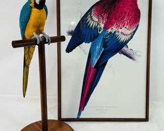 Hand-Carved Parrot & Framed Art
