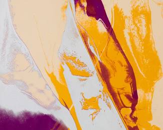 2300
Paul Jenkins
(1923-2012)
Untitled abstract, 1967
Lithograph in colors on paper
Edition: 4/30
Signed, dated, and numbered in pencil near the lower left: Paul Jenkins 67
Sight: 26.5" H x 19.5" W
Estimate: $200 - $300