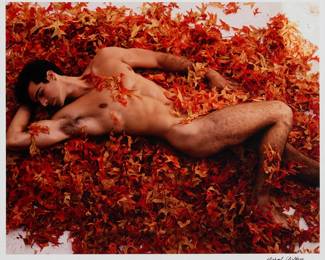 2407
Michael Childers
(b. 1944)
Reclining male nude among Autumn leaves
Photograph in colors on paper
Signed in ink in the lower margin, at right: Michael Childers
Image: 16" H x 20" W; Sight: 17" H x 20.75" W
Estimate: $300 - $500