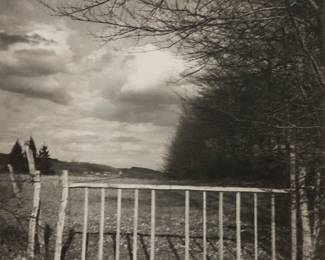 2401
Laure Albin-Guillot
(1879-1962)
Fence in field, 1938
Gelatin silver print on paper
Signed in ink lower right: Laure Albin-Guillot
Sight: 17" H x 15.5" W
Estimate: $400 - $600