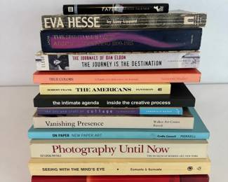 Art Photography Book Collection Eva Hesse, Robert Frank, Dan Eldon More