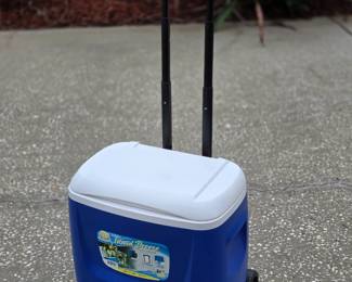 Cooler on wheels