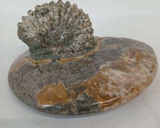 Mr s8zNy6dJh0EFwytzT7Rt