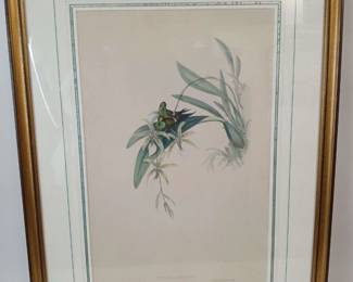 arUPdXE46hpO Ov2wBlBvVZo