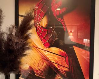 Rare Spider Man Movieoster 