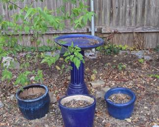 63Nov 19 2025 10 42pmDWvi