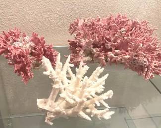 Coral Collection